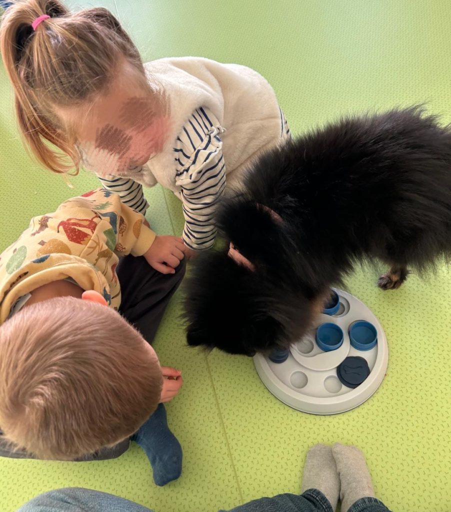 615339836_1334783952024466_713397939376528900_n